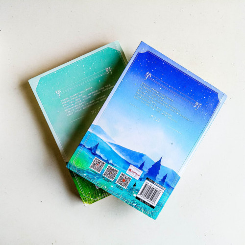摯野(2冊) 摯野(2冊)