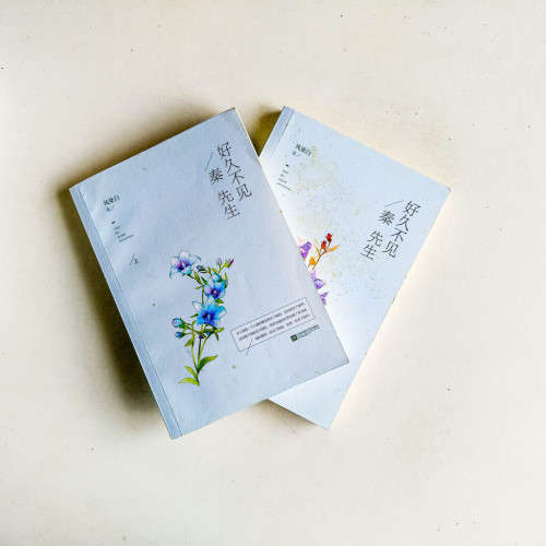 好久不見,秦先生(上下冊) 好久不見,秦先生(上下冊)