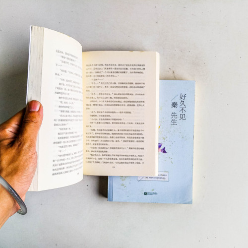 好久不見,秦先生(上下冊) 好久不見,秦先生(上下冊)