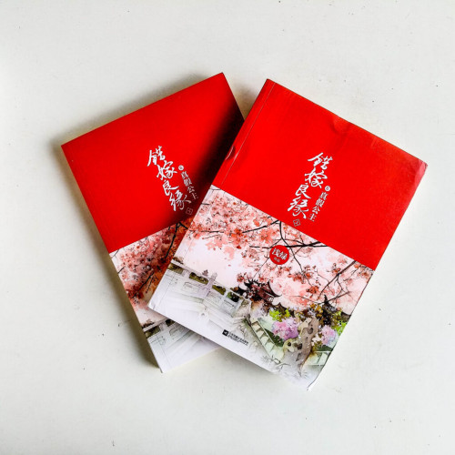 錯嫁良緣6:真假公主(全2冊) 錯嫁良緣6:真假公主(全2冊)