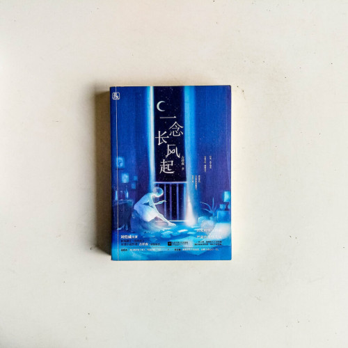 一念長風起 一念長風起