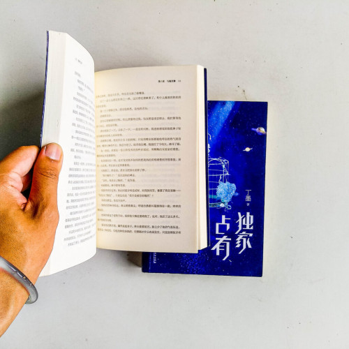 獨家占有(全2冊) 獨家占有(全2冊)