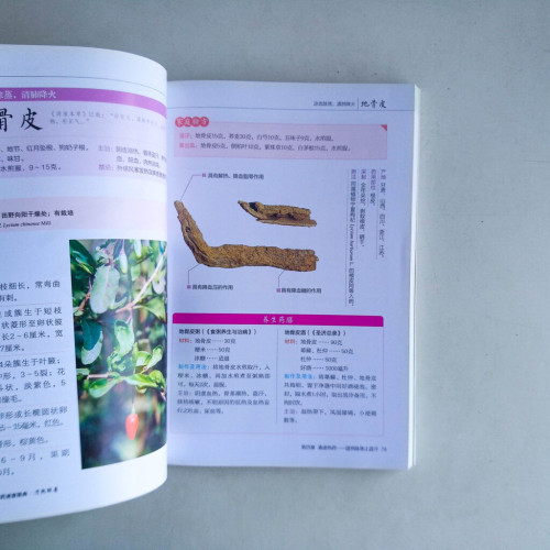 養生中草藥速查圖典:清熱解毒 養生中草藥速查圖典:清熱解毒