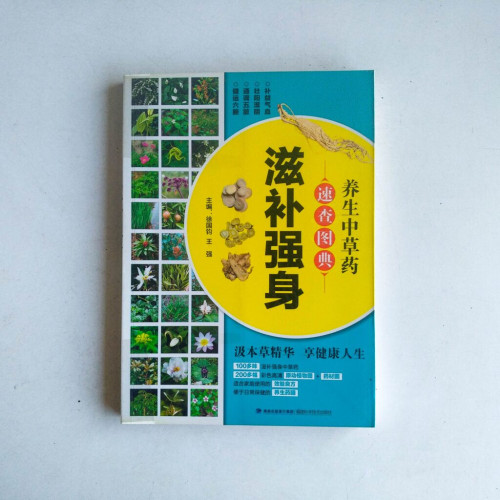 養生中草藥速查圖典:滋補強身 養生中草藥速查圖典:滋補強身