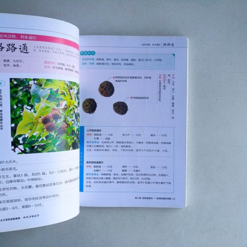 養生中草藥速查圖典:祛風濕強筋骨 養生中草藥速查圖典:祛風濕強筋骨
