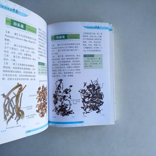 國家藥典中藥識別圖鑒 國家藥典中藥識別圖鑒