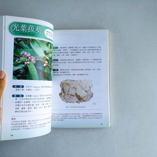 百草皆藥:嶺南地區常見中草藥100種 百草皆藥:嶺南地區常見中草藥100種