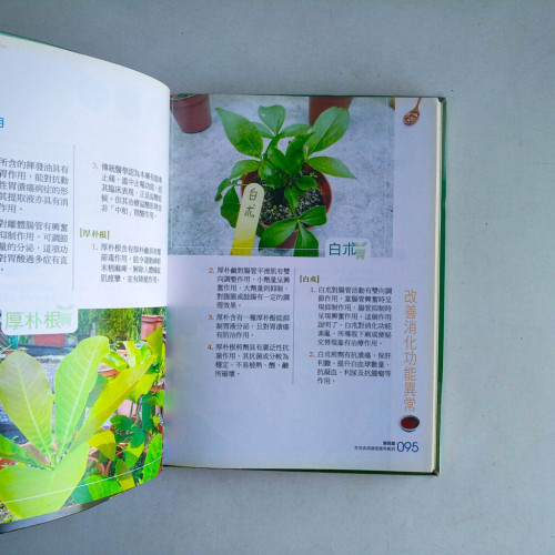 養生中草藥實用百科 養生中草藥實用百科