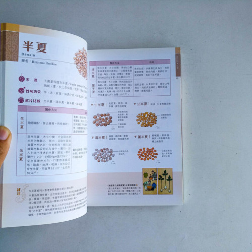 百藥炮製 百藥炮製