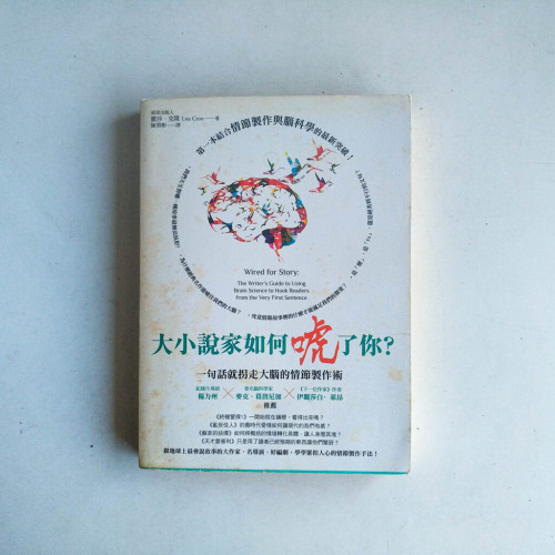 大小說家如何唬了你?:一句話就拐走大腦的情節製作術 大小說家如何唬了你?:一句話就拐走大腦的情節製作術