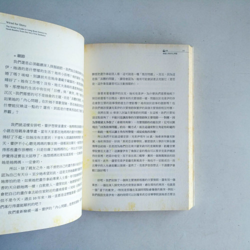 大小說家如何唬了你?:一句話就拐走大腦的情節製作術 大小說家如何唬了你?:一句話就拐走大腦的情節製作術