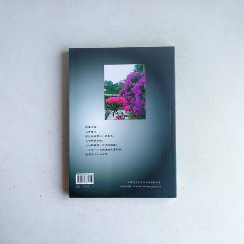 生命的光亮 生命的光亮