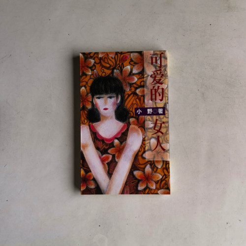 可愛的女人 可愛的女人