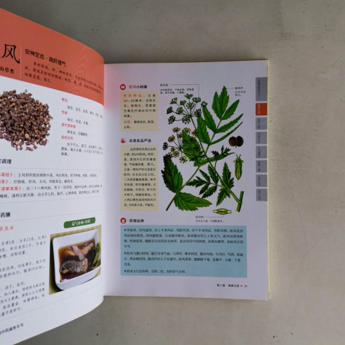 家用補益中藥速查全書 家用補益中藥速查全書