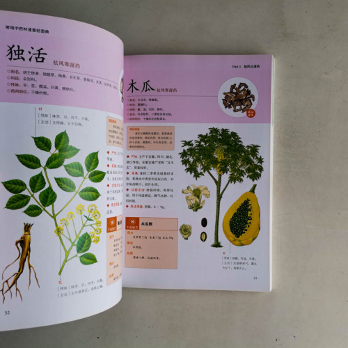 常用中藥材速查輕圖典 常用中藥材速查輕圖典