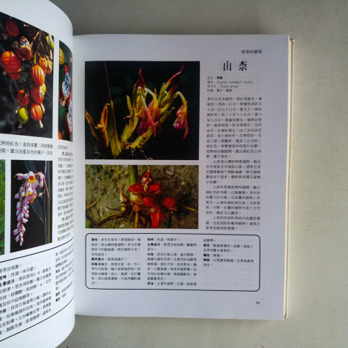 常見藥草圖說 常見藥草圖說
