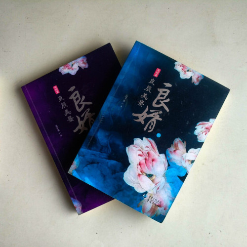 良婿·完結篇:良辰美景(全二冊) 良婿·完結篇:良辰美景(全二冊)