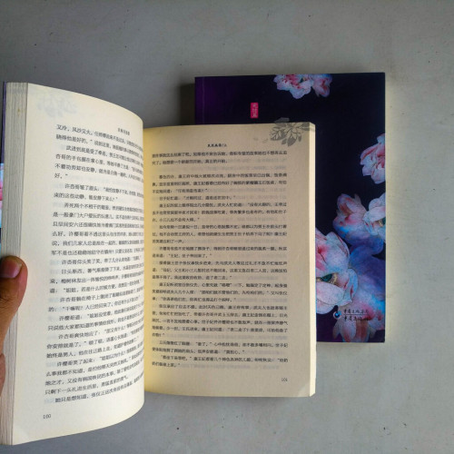 良婿·完結篇:良辰美景(全二冊) 良婿·完結篇:良辰美景(全二冊)