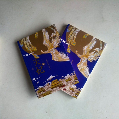 天妃(全二冊) 天妃(全二冊)