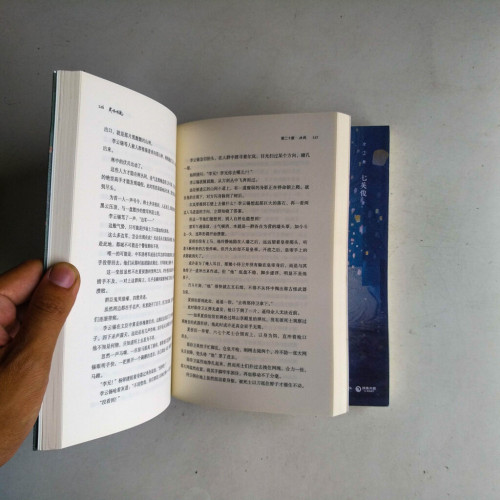 成何體統(全二冊) 成何體統(全二冊)