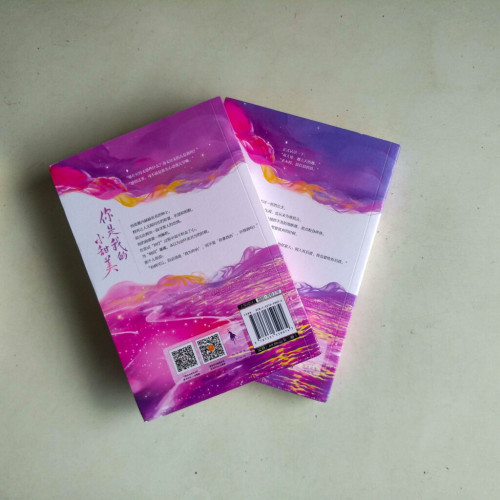 你是我的小甜美(全二冊) 你是我的小甜美(全二冊)
