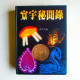 寰宇秘聞錄 寰宇秘聞錄
