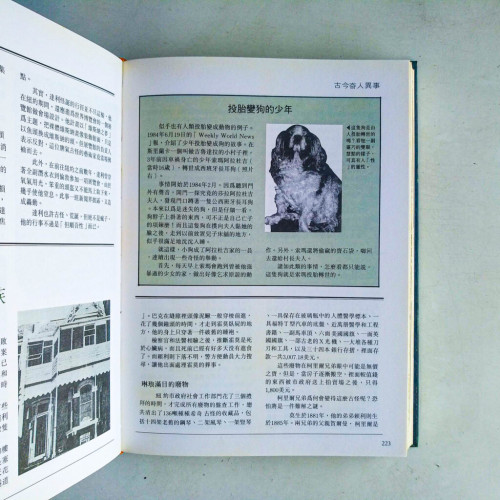 寰宇秘聞錄 寰宇秘聞錄