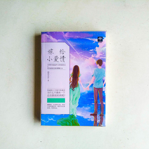 嫁給小愛情