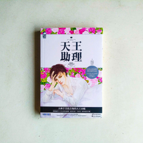 天王助理 天王助理