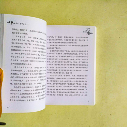 寸草心 13 寸草心 13
