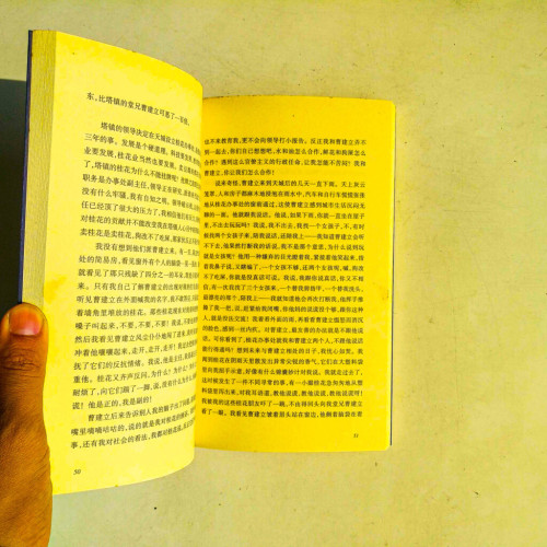 馴子記 馴子記