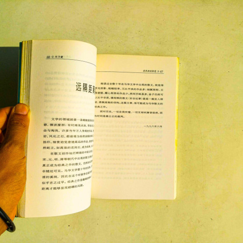 逆風的向陽花 逆風的向陽花