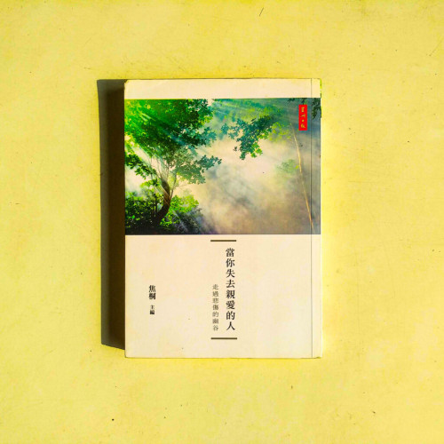 當你失去親愛的人:走過悲傷的幽谷 當你失去親愛的人:走過悲傷的幽谷