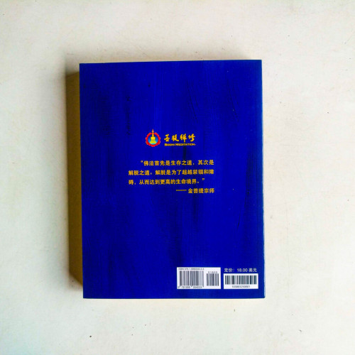 袈裟:記金菩提宗師的覺悟之路 袈裟:記金菩提宗師的覺悟之路