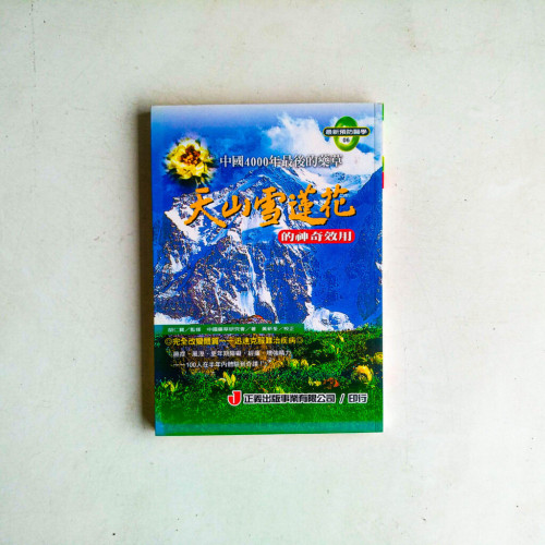 天山雪蓮花的神奇效用 天山雪蓮花的神奇效用