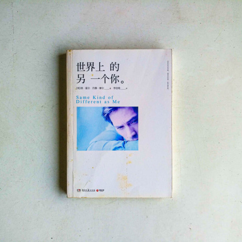 世界上的另一個你 世界上的另一個你