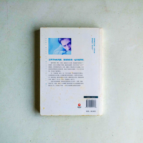 世界上的另一個你 世界上的另一個你