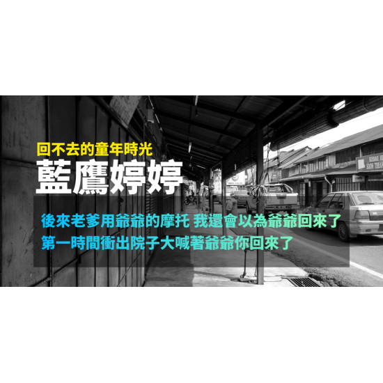 藍鷹婷婷