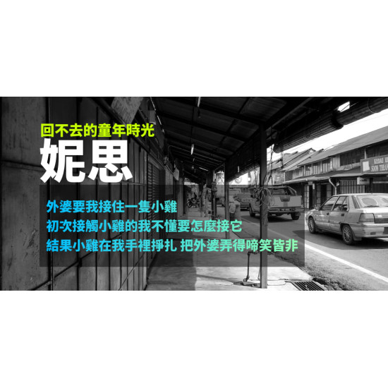 妮思
