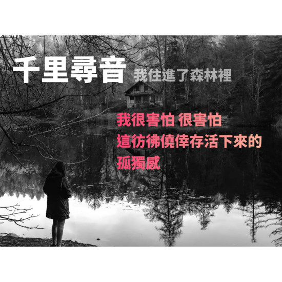 千里尋音 千里尋音